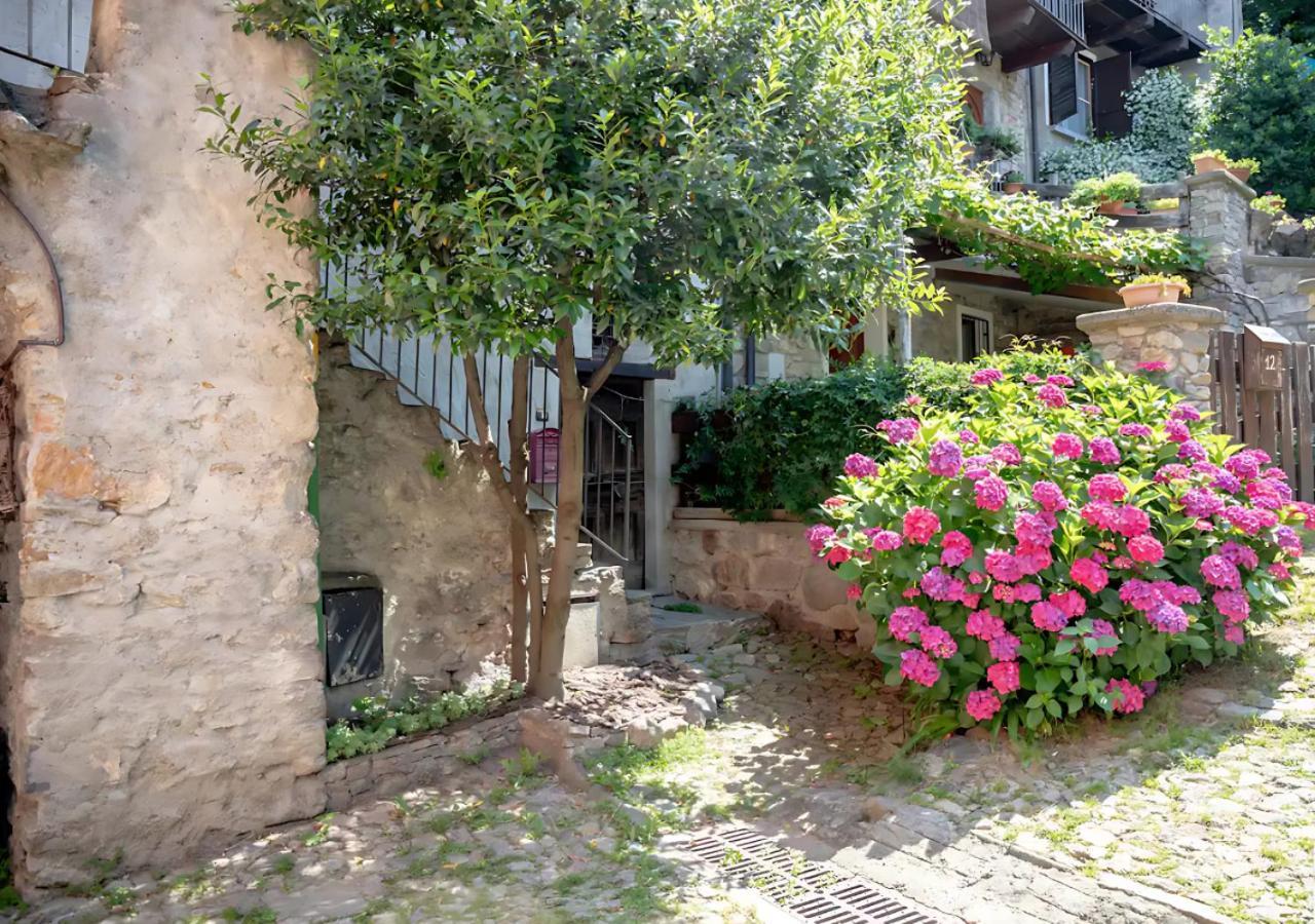 Casa Del Borgo: Appartamento Immerso Nel Verde A/C Bellano Exterior foto